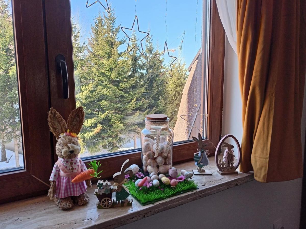 Apartmani Vidatela Kopaonik Kültér fotó